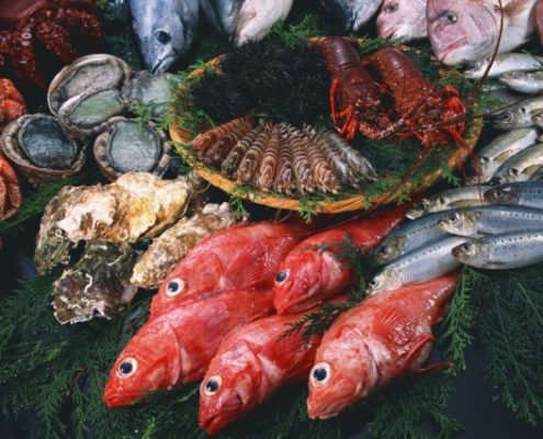 обсуждение разработки стандартов для «рыбного» техрегламента