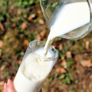 качество молока по гостуnbsp• 29