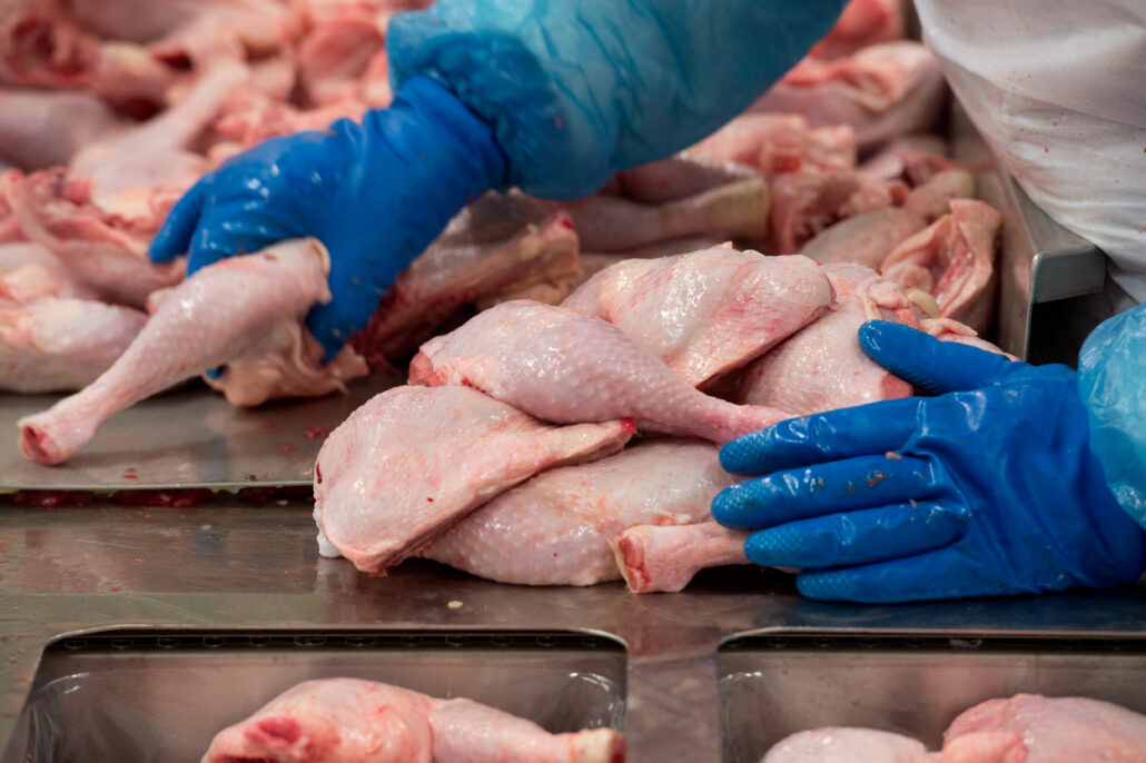 О безопасности мяса птицы и продукции его переработкиnbsp• 24