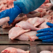 О безопасности мяса птицы и продукции его переработкиnbsp• 26