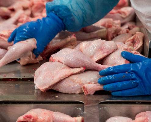 О безопасности мяса птицы и продукции его переработки