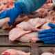 О безопасности мяса птицы и продукции его переработкиnbsp• 15